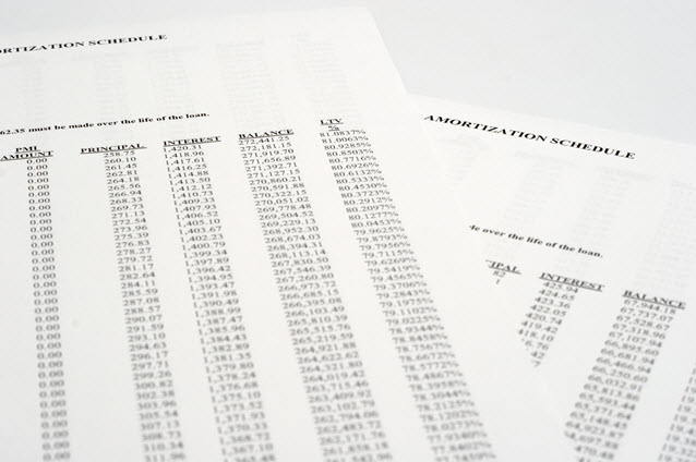 Amortization Schedule.