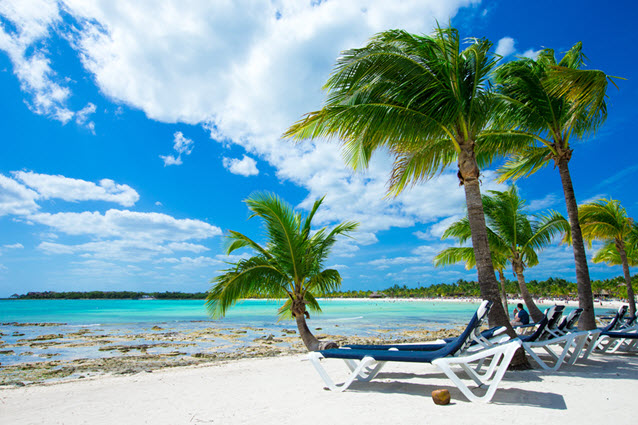 Picture of a Beach.