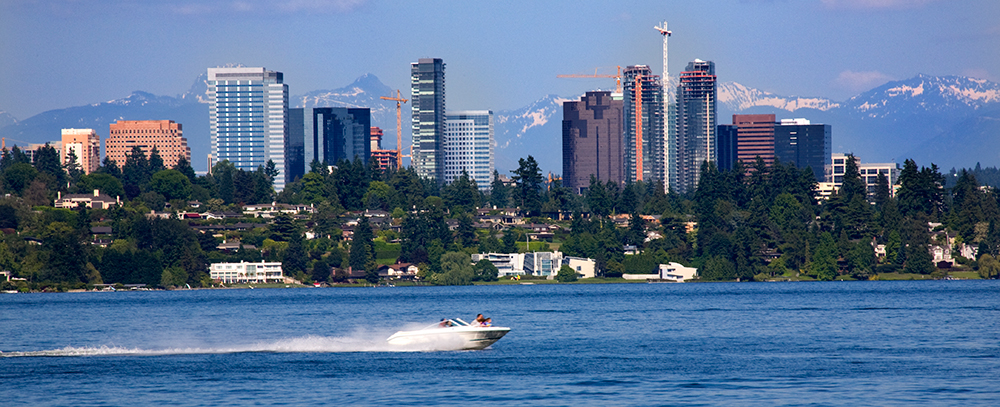 Bellevue Skyline.