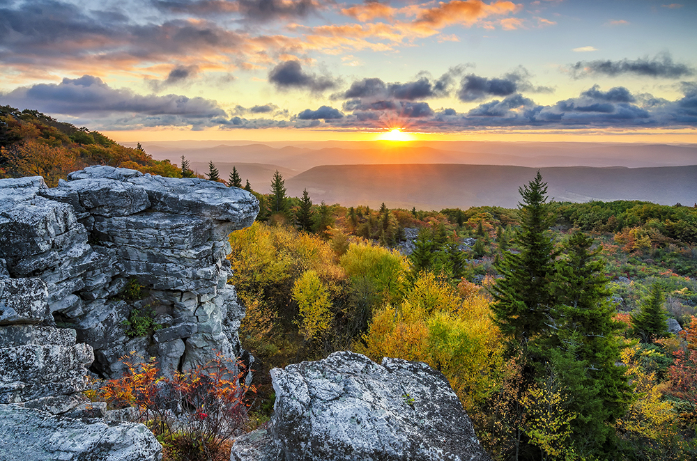 Dolly Sods Wilderness in West Virginia.