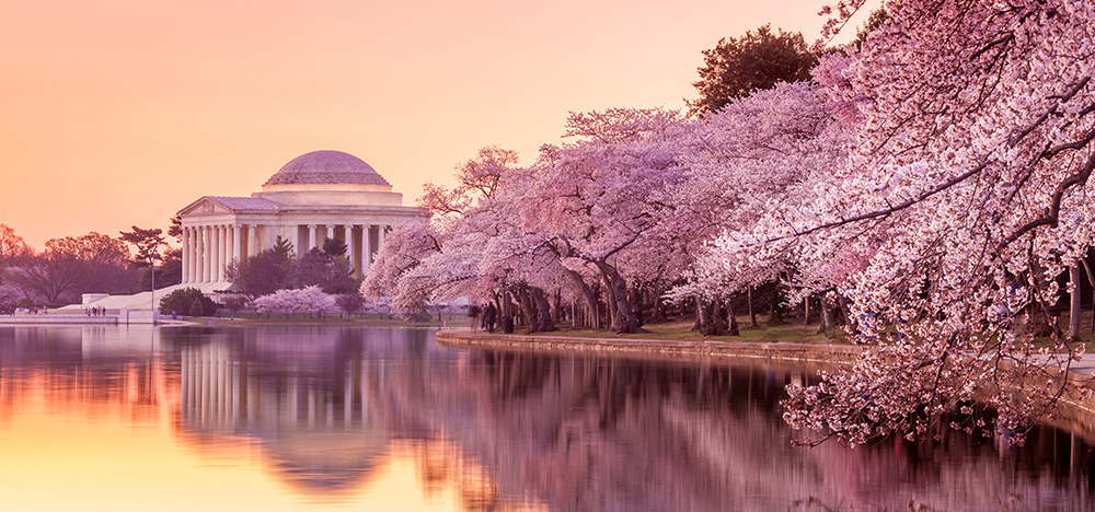 Jefferson Memorial.