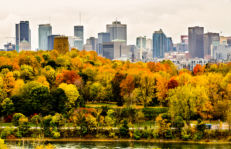 Montreal Skyline.