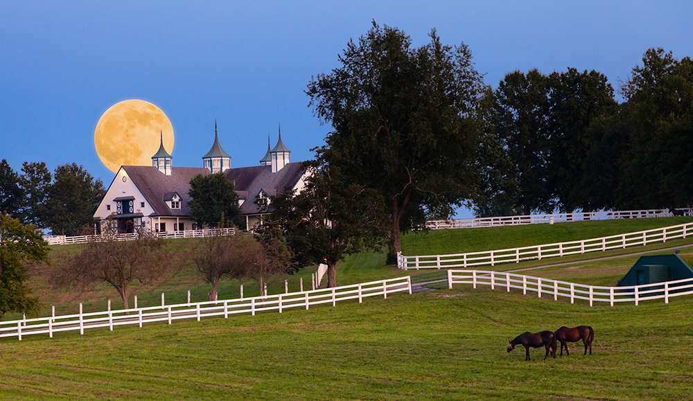 Moonrise at Horse Farm.