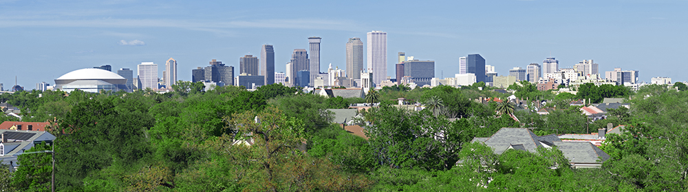 New Orleans Skyline.