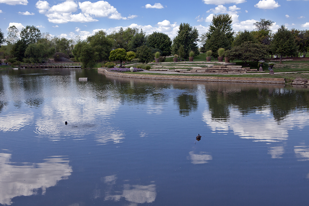 Pond in Overland Park.