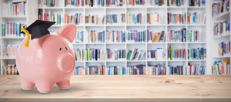 Piggy Bank in front of bookshelves.