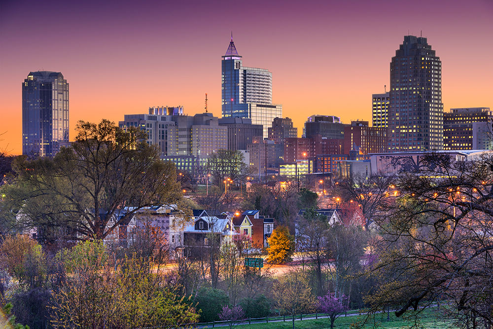 Raleigh Skyline.