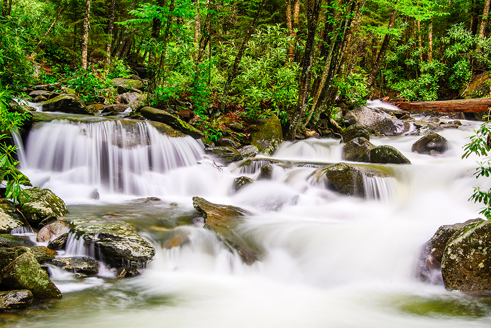 Smoky Mountains Cascades.