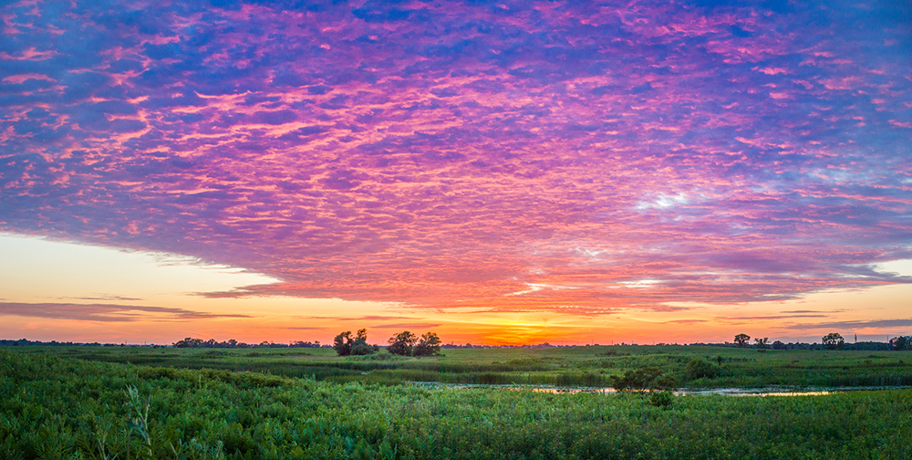 Springbrook Prairie Sunset.