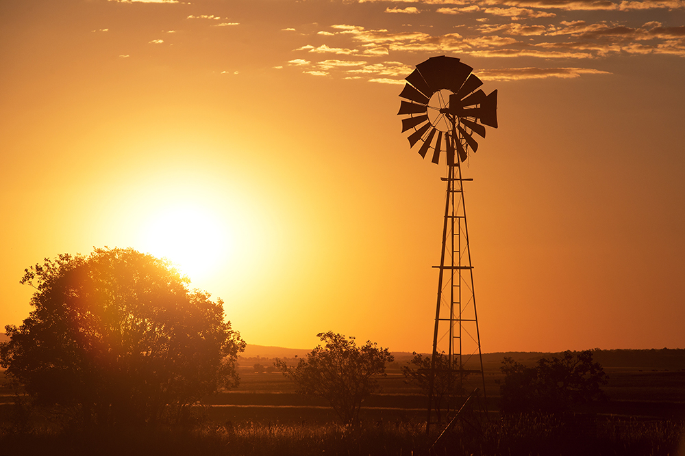 Sunrise Over a Tree Near a Windmill.